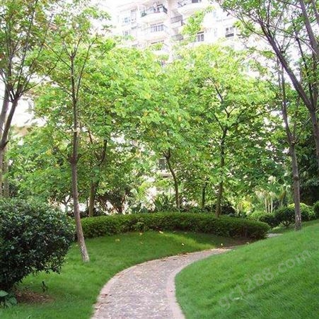 武汉园林绿化施工 绿化景观 园林景观公司 润泽蔚来 b000341