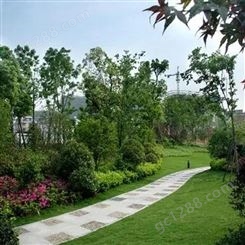 武汉道路景观绿化 景观绿化工程 庭院绿化景观 润泽蔚来 b000360
