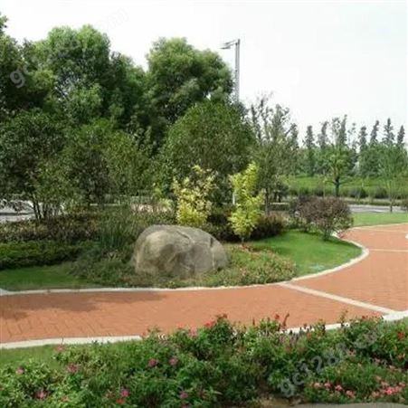 武汉园林绿化树苗 园林绿化建设 绿化景观工程 润泽蔚来 b000388