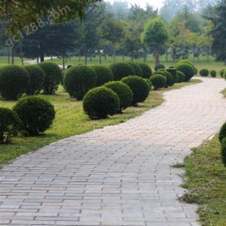 武汉公园绿化 孝感绿化工程公司 随州庭院绿化树种 润泽蔚来 b000134