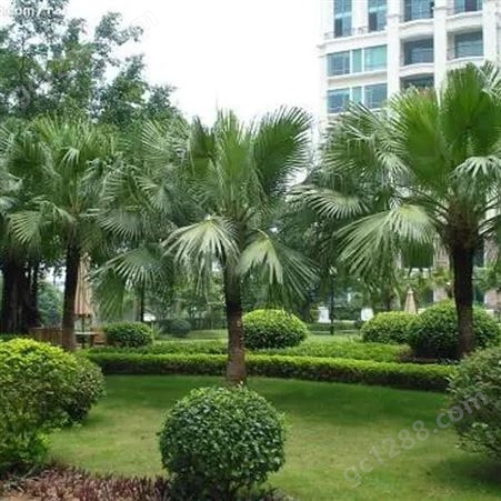 武汉园艺景观施工 室外园林绿化 庭院园林景观 润泽蔚来 b000216