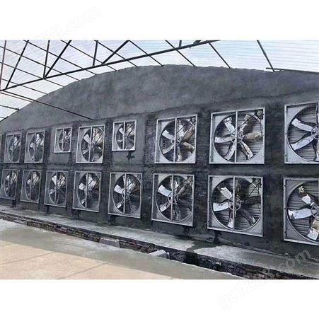 恒达不锈钢*排气扇抽风机 养殖场换气扇工厂负压风机