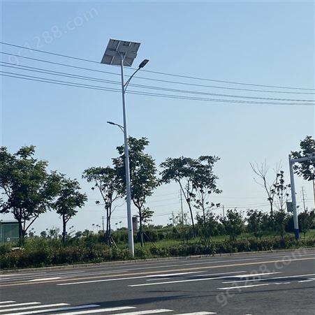 定制太阳能路灯 6米太阳能路灯 路灯供应商