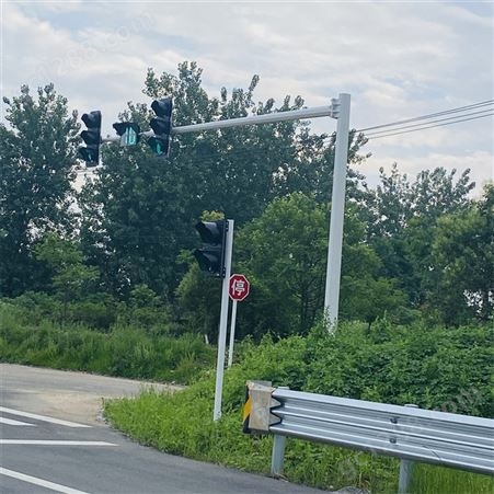 信号杆 监控杆 道路交通信号杆 丰豪照明厂家供应