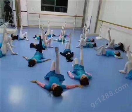 早教地胶 芭蕾体操舞蹈教室地胶 pvc防滑塑胶舞蹈地板