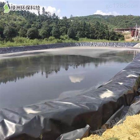 养殖场黑膜沼气池 HDPE土工膜 厌氧发酵池设计安装